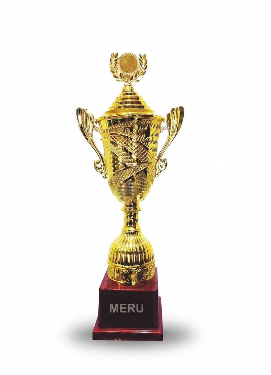Gold Award Trophy 1595 - Meru Trophy