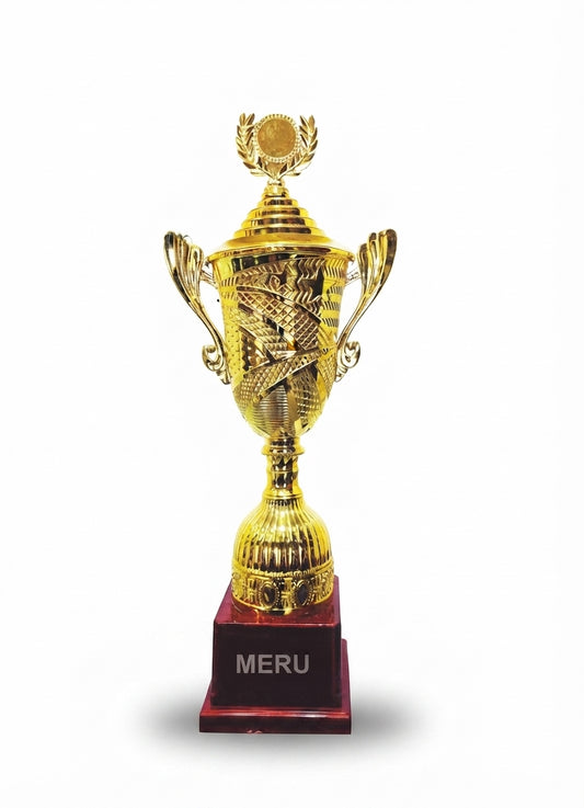 Gold Award Trophy 1595 - Meru Trophy