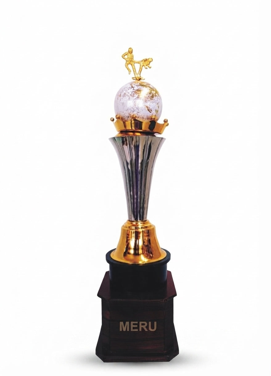 Shining Silver & Gold Metal Sports Trophy 894 - Meru Trophy
