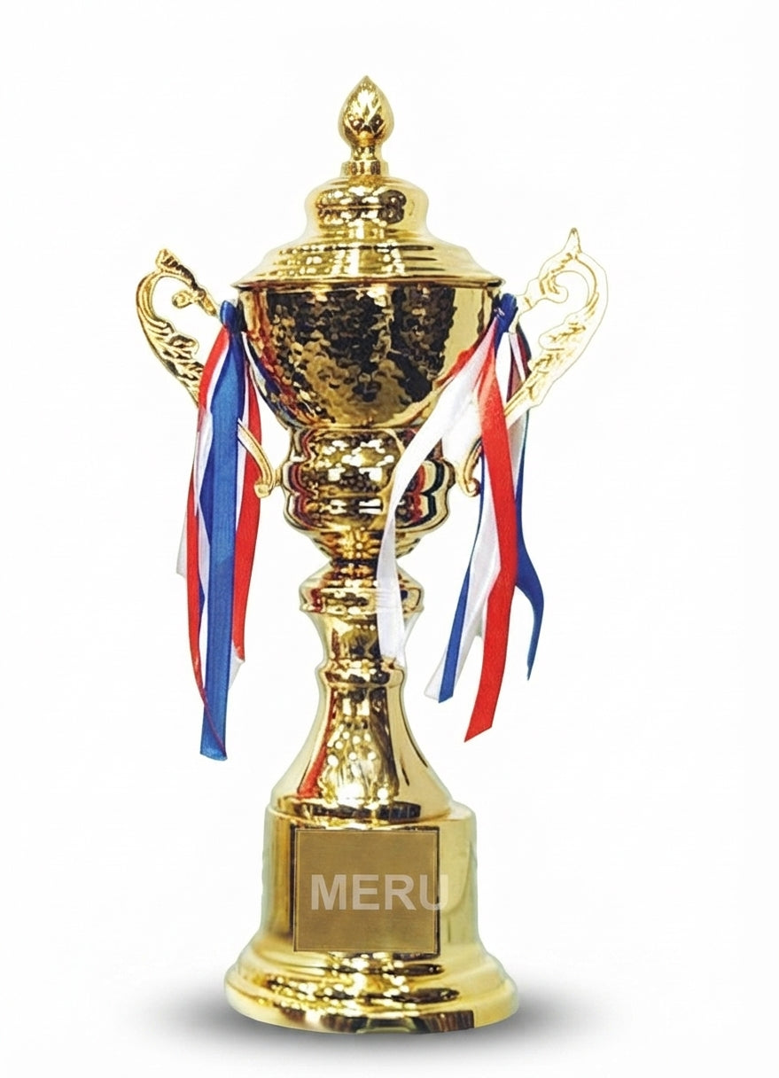Gold Metal Award Trophy 2014 - Meru Trophy