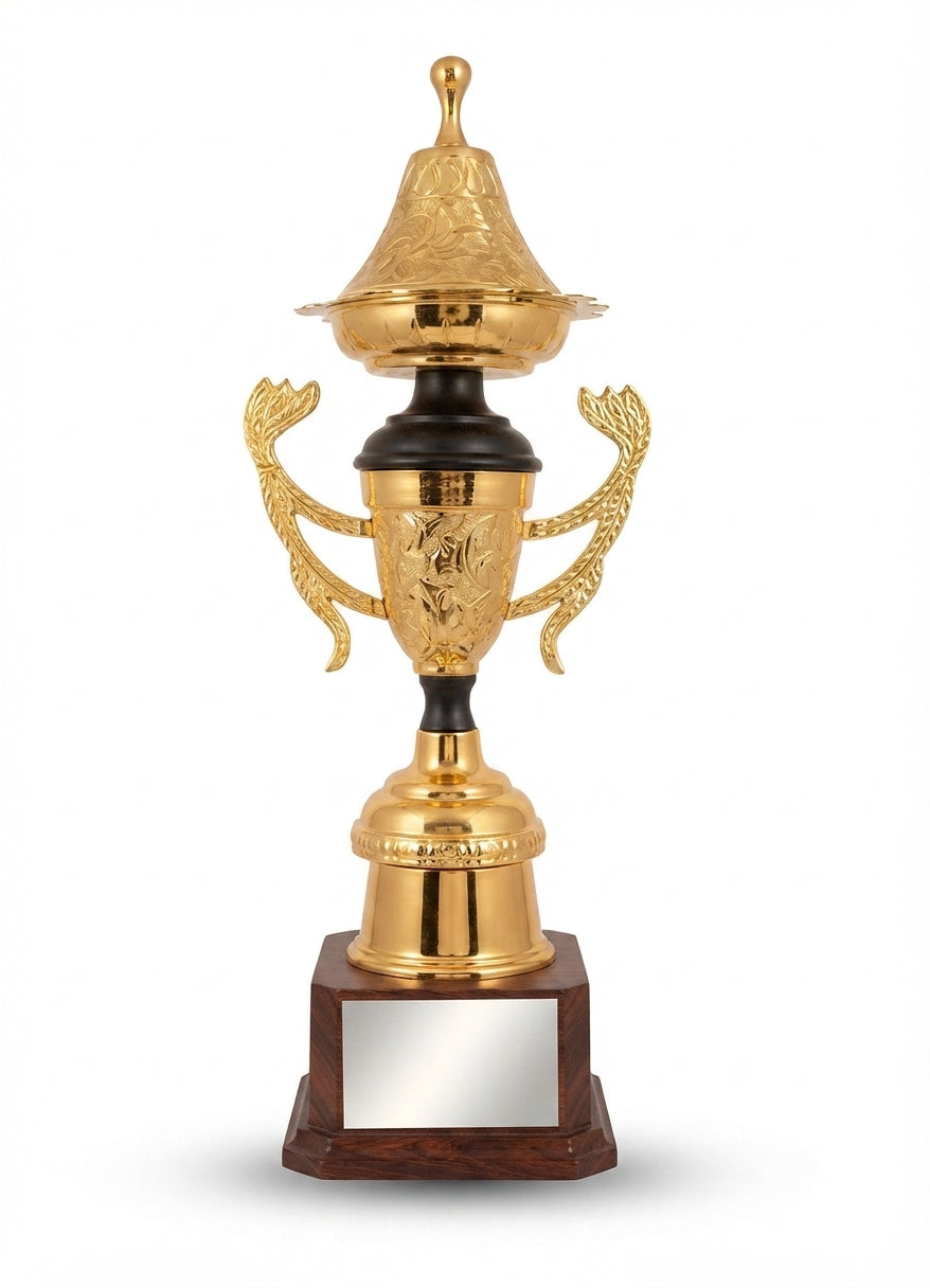 Metal Trophy Corporate Award Athletic Medals gold black metal trophy as 940 black - Meru Trophy