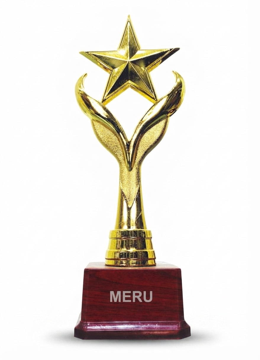 Gold Star Award Trophy 1210 - Meru Trophy