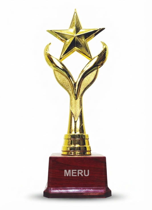 Gold Star Award Trophy 1210 - Meru Trophy