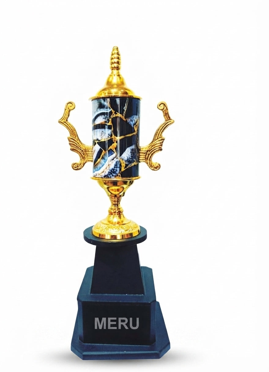 Metal Achievement Trophy: Corporate Awards and Custom Trophies 0Z1 - Meru Trophy