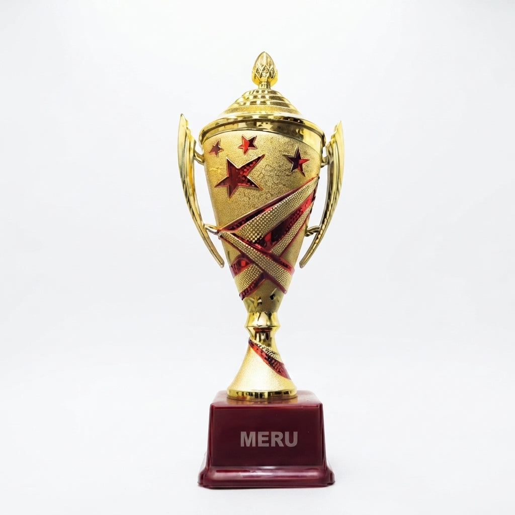 Elegant Fiber Trophy Award 708 - Meru Trophy