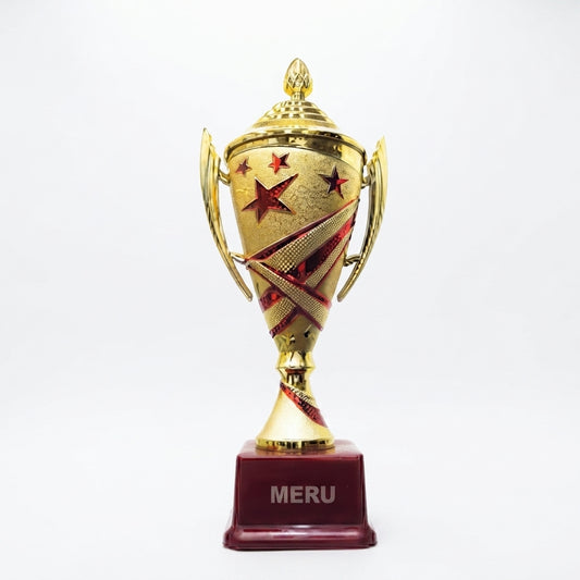 Elegant Fiber Trophy Award 708 - Meru Trophy