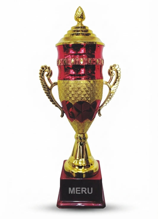 Elegant Fibre Trophy Award 1830 - Meru Trophy