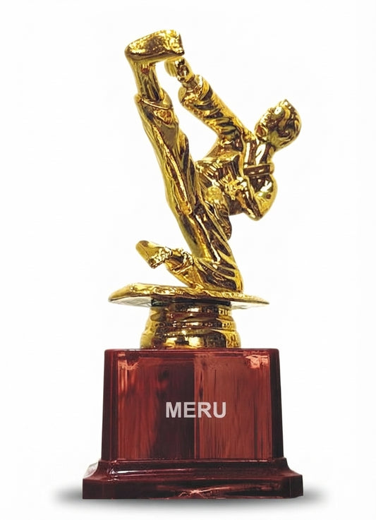 Gold Martial Arts Trophy Sports Awards 315 - Fiber Trophies Online - Meru Trophy