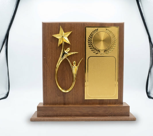 Wooden Achievement Award Trophies - Custom Wooden Mementos CP 55 - Meru Trophy