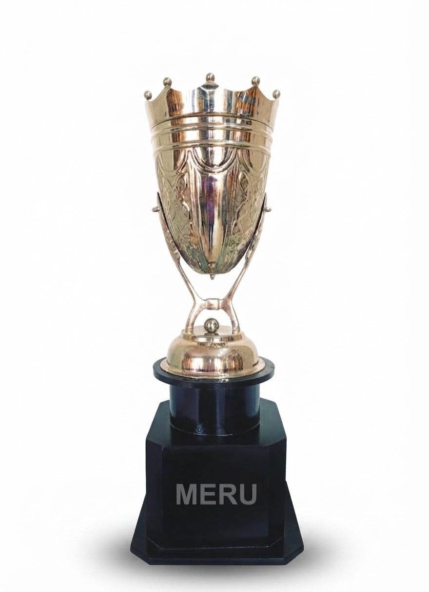 Elegant Achievement Trophy 962 - Meru Trophy