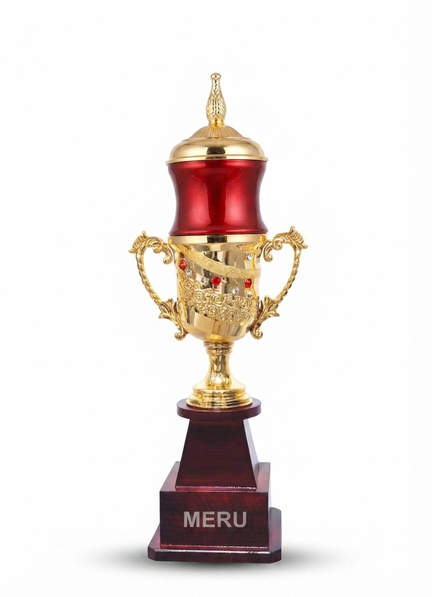 Elegant Award Trophy with Gold Accents 401 - Meru Trophy