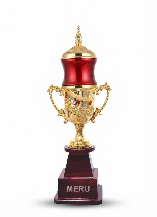 Elegant Award Trophy with Gold Accents 401 - Meru Trophy