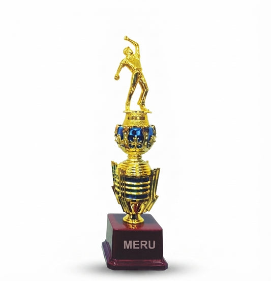 Cricket Batsman Trophy SP7-106 - Meru Trophy