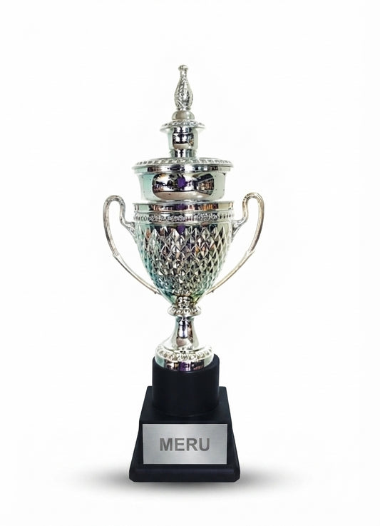 Silver Metal Trophy Award for Excellence and Achievement 311 - Meru Trophy