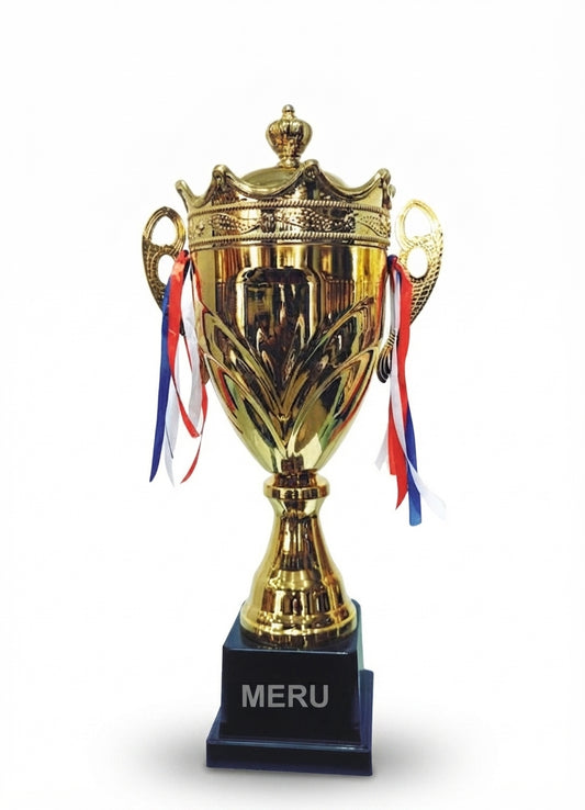 Gold Metal Trophy Cup Sports Award Corporate Award  1809 - Meru Trophy