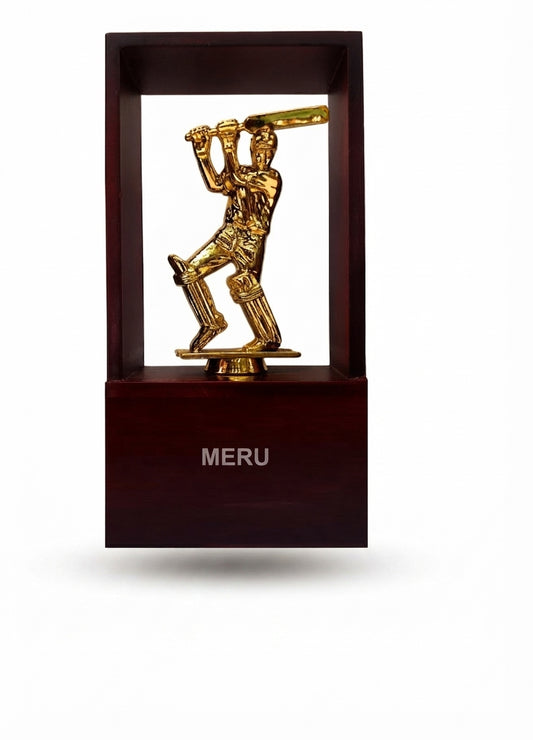 Cricket Trophy Awards 7327 - Meru Trophy