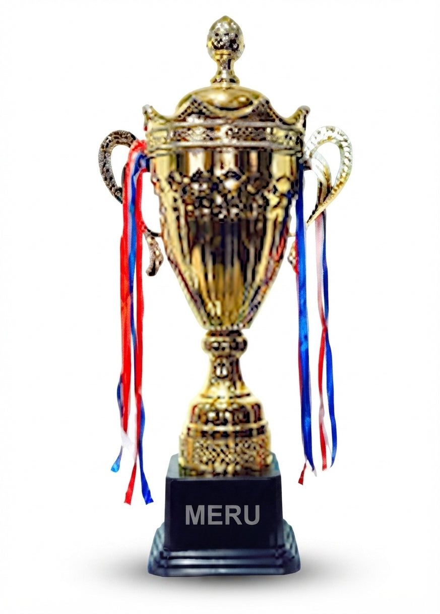 Gold Metal Award Trophy - Custom Trophy 2072 - Meru Trophy