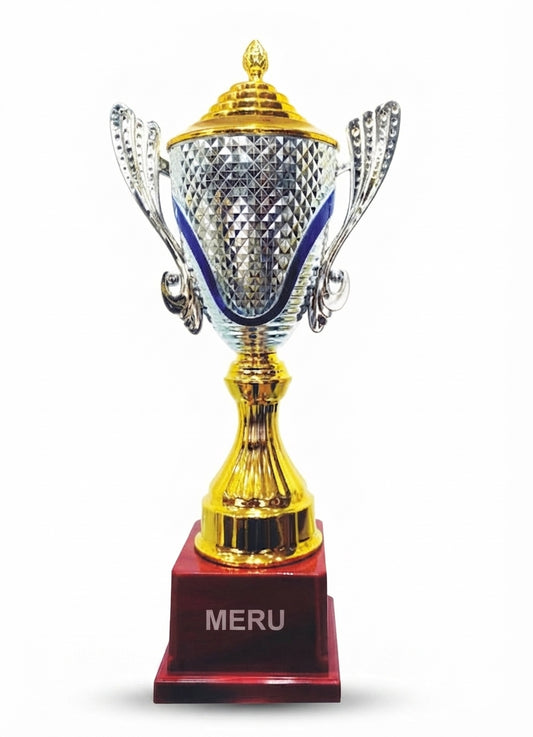 Silver and Gold Achievement Trophy 196 - Meru Trophy