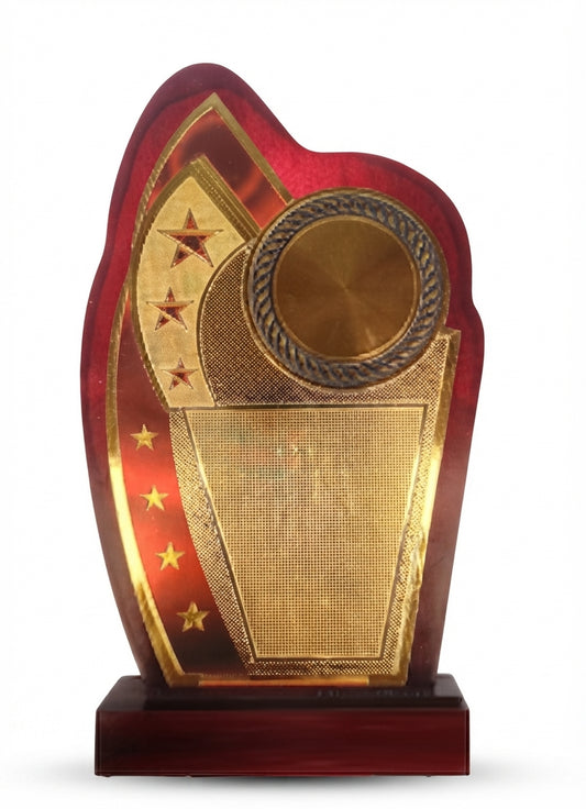 Wooden Trophy - Custom Recognition Awards 1505 - Meru Trophy