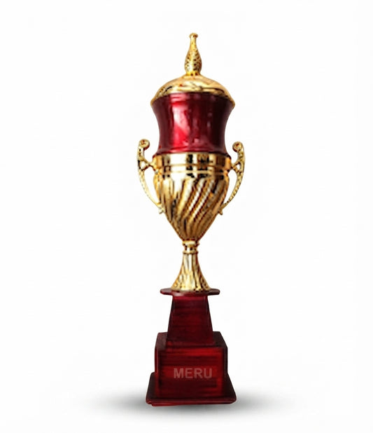 Custom Trophy 405 - Meru Trophy