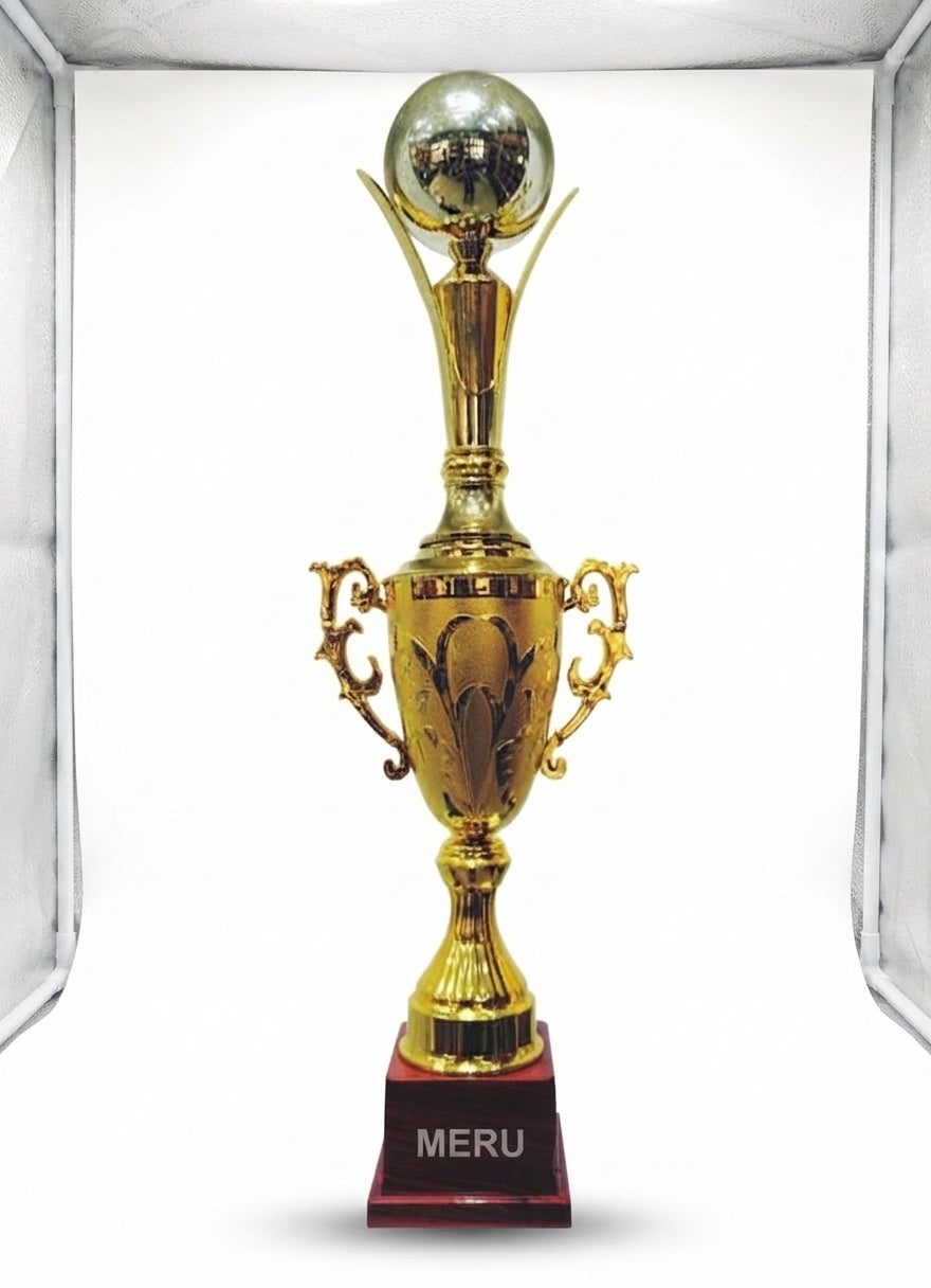 Gold Metal Award Trophy 2110 - Meru Trophy