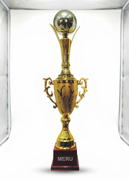 Gold Metal Award Trophy 2110 - Meru Trophy