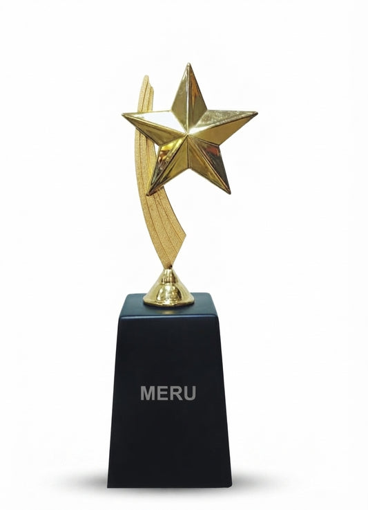 Gold Star Corporate Trophy Recognition Award 120 - Meru Trophy
