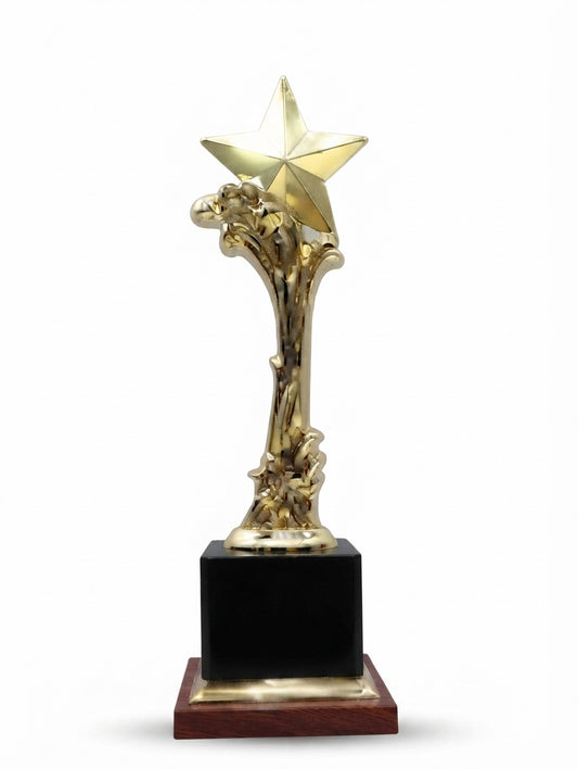 Gold Star Trophy - Symbol of Achievement and Recognition JH 152 - Corporate Awards - Meru Trophy