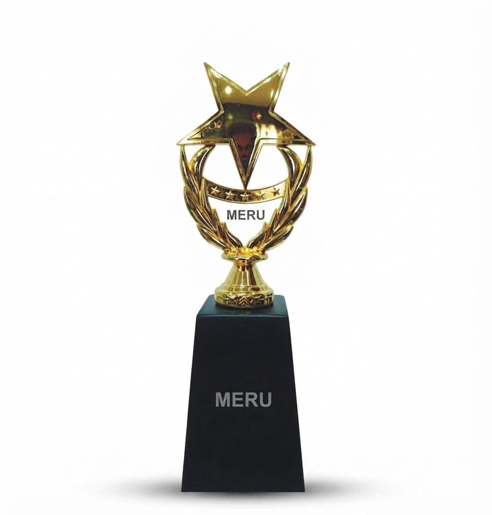 Star Trophy Corporate And College Premium Trophies 118 Gold Award 1 - Meru Trophy