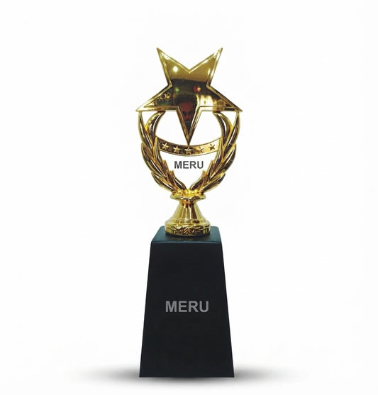 Star Trophy Corporate And College Premium Trophies 118 Gold Award 1 - Meru Trophy