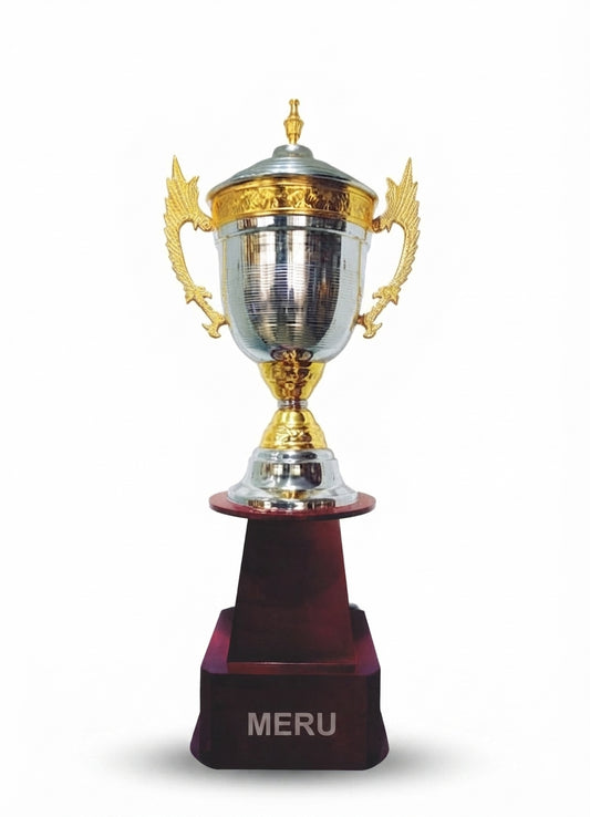 Elegant Achievement Trophy AS 956 - Meru Trophy