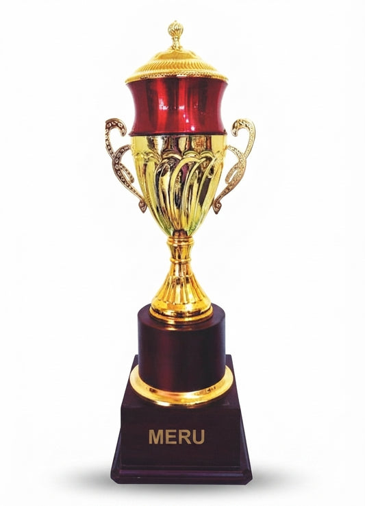 Metal Cup Trophy Award 207 - Meru Trophy