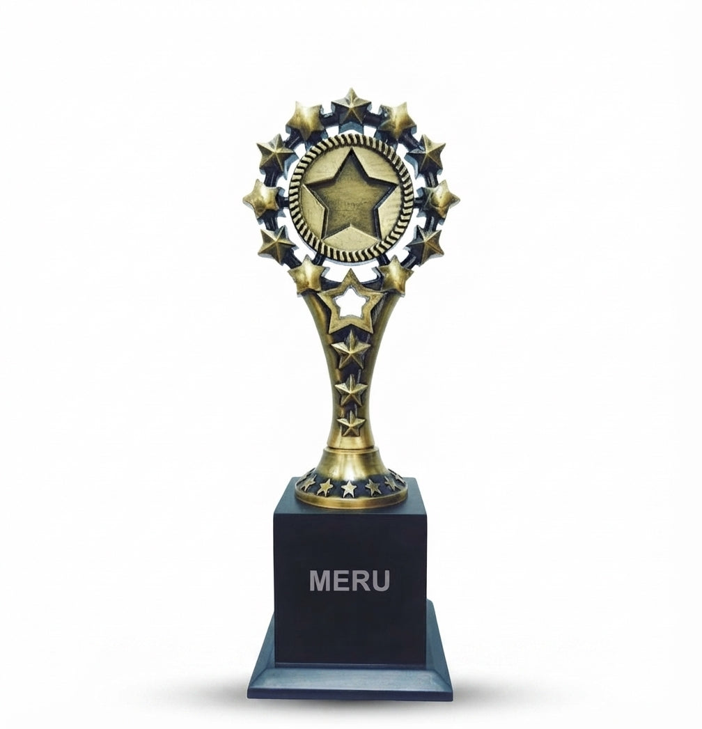 Gold Star Trophy Corporate Awards 627 - Meru Trophy
