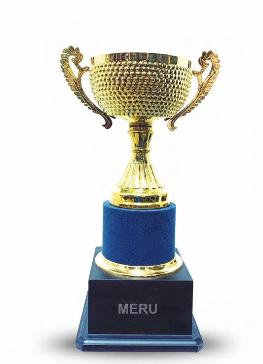Gold Metal Award Trophy 274 - Meru Trophy