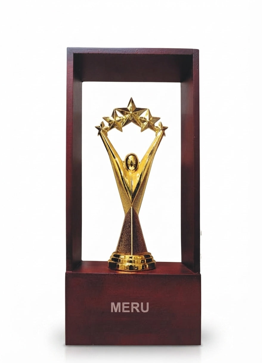 Star Achievement Trophy - Custom Trophy 7347 - Meru Trophy