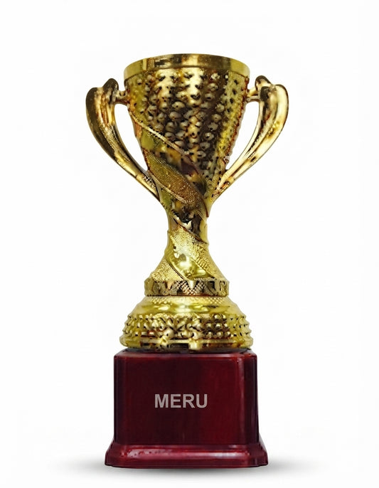 Gold Trophy Cup Award for Recognition Achievement 660 - Meru Trophy