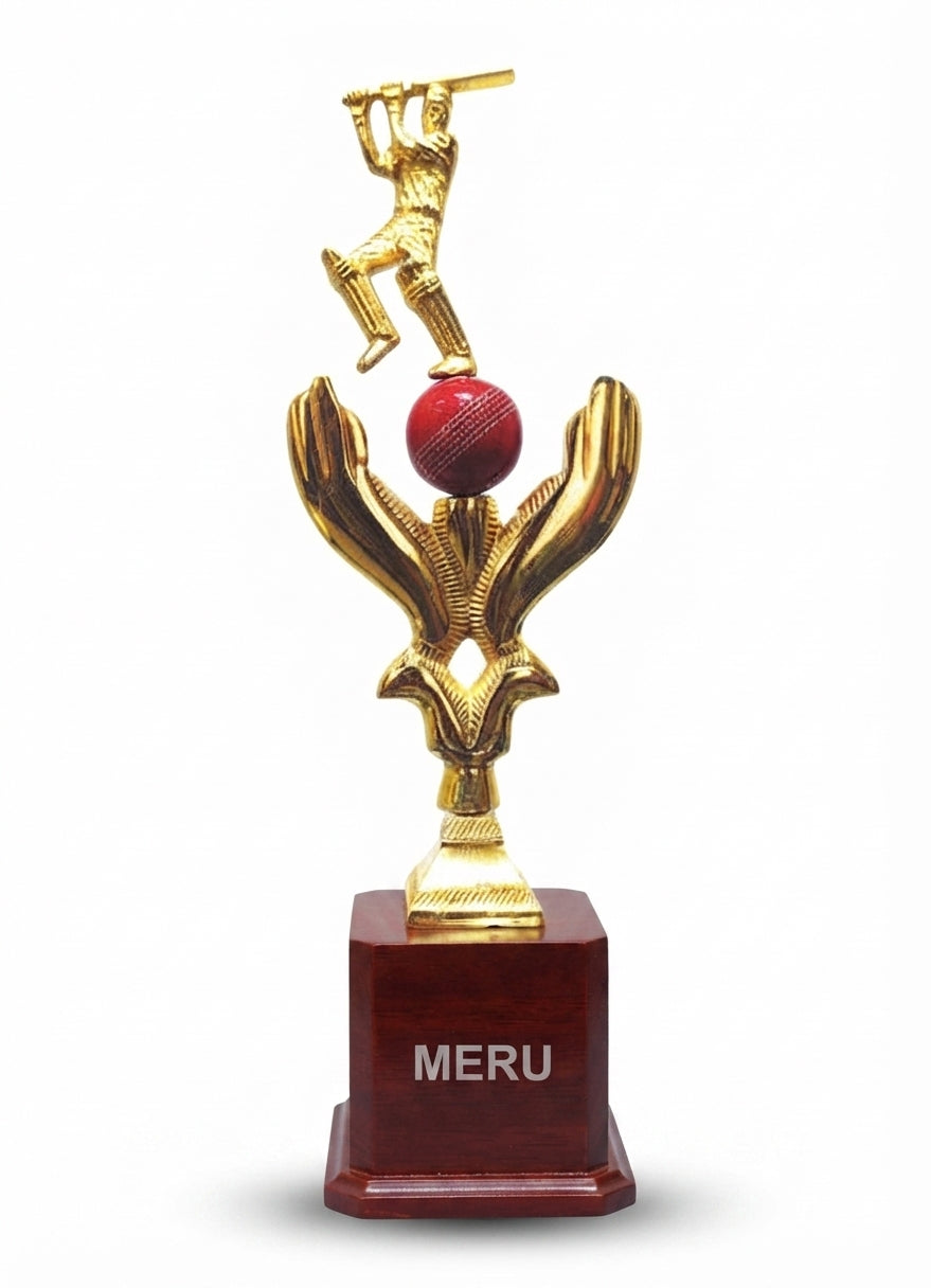 Cricket Trophy : A Symbol of Sporting Excellence 851 - Meru Trophy