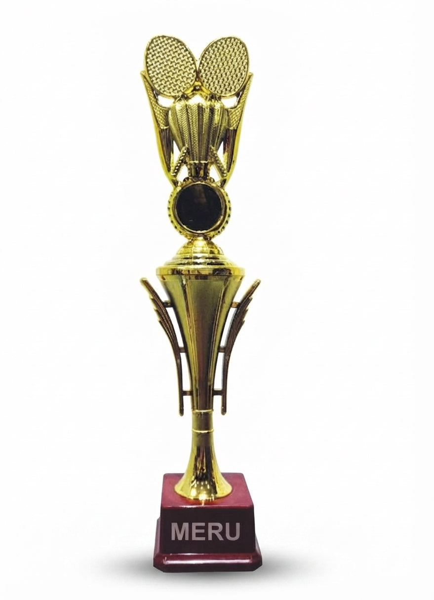 Gold Fibre Trophy Award HV 558 - Meru Trophy