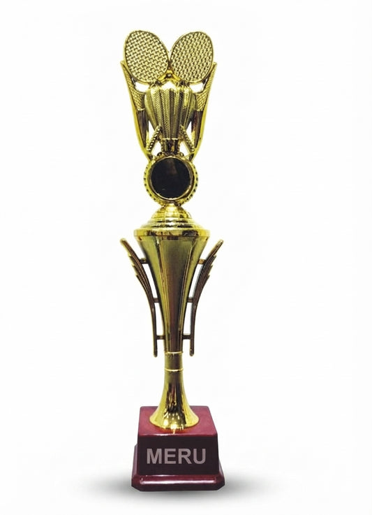 Gold Fibre Trophy Award HV 558 - Meru Trophy