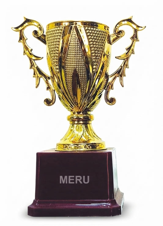 Elegant Gold Trophy Cup Award 326-327 - Meru Trophy