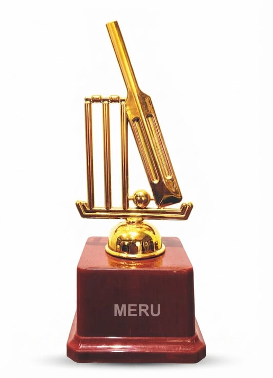 Cricket Trophy Golden Award 109 - Meru Trophy