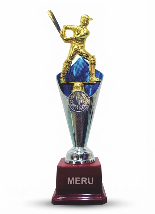 Cricket Trophy Award for Sports Achievement 7-107 - Meru Trophy
