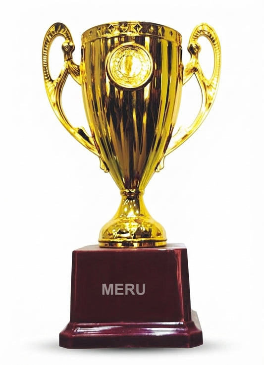 Gold Award Trophy - Symbol of Achievement 250 - Meru Trophy