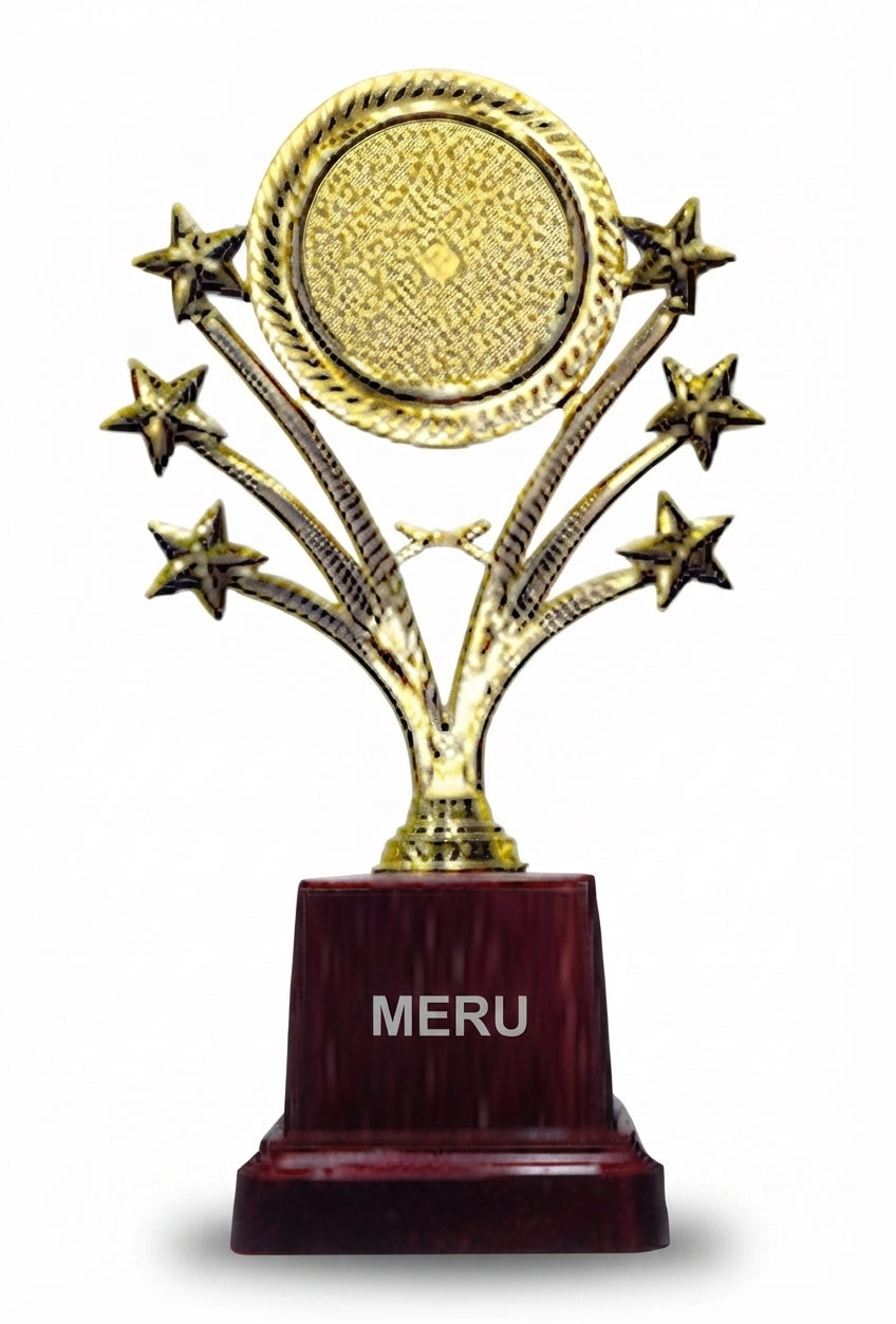Gold Star Trophy for Recognition Awards 2379 - Meru Trophy