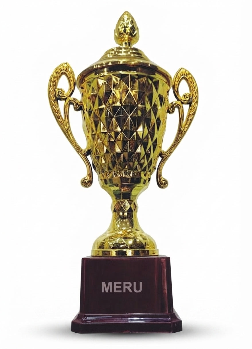 Fibre Trophy Corporate Trophy and Athletic Medals gold trophy cup 247 - Meru Trophy