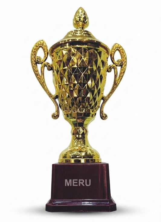 Fibre Trophy Corporate Trophy and Athletic Medals gold trophy cup 247 - Meru Trophy