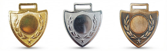 Custom Medals Gold Silver Bronze Recognition Awards MS-Shield-1 - Meru Trophy