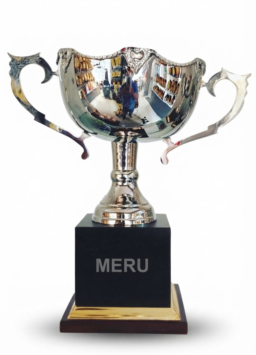Metal Sports Trophies Awards and Recognition 4035 - Meru Trophy