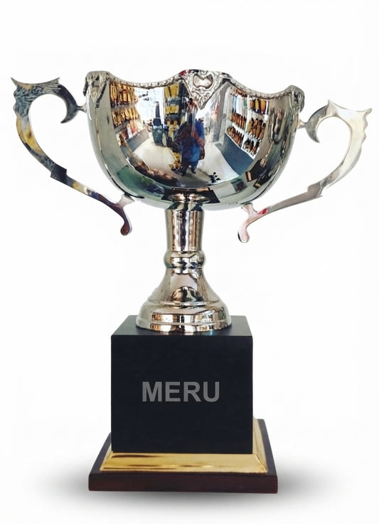 Metal Sports Trophies Awards and Recognition 4035 - Meru Trophy