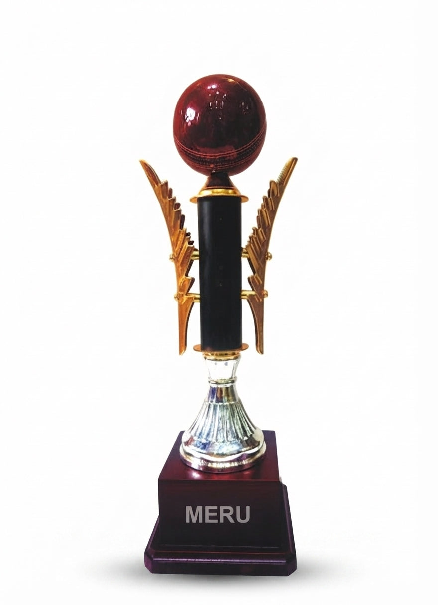 Cricket Victory Trophy 4235 - Meru Trophy